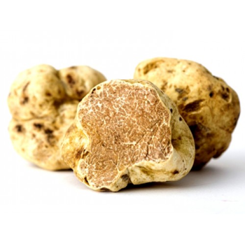 White Truffle Oil